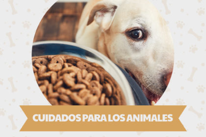 01-COMUN-Cuidados