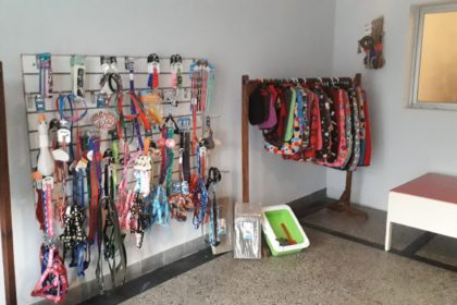 convenio-con-petlove-amigos-unidos-por-los-animales-ong-lazos-uruguay-1
